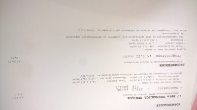 WP_20180326_001.jpg