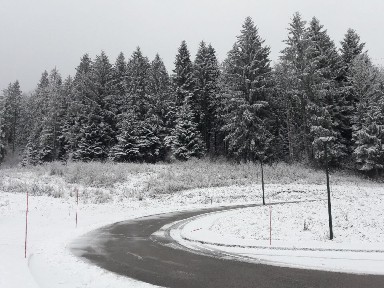 Resized_20190106_112639-384x288.jpeg