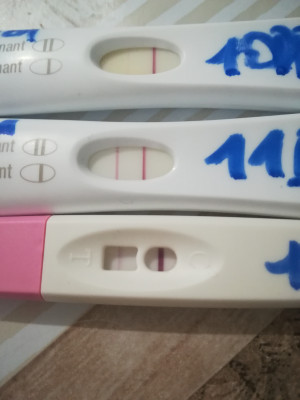Je ne m'emballe pas je préfère attendre le taux demain pour savoir si je peux y croire ça ne m'est jamais arrivé en 2 ans et demi d'essai...donc j'arrive pas trop a m'autoriser a y croire pour l'instant je préfère voir la prise de sang qui pour moi sera plus fiable