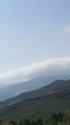 1F3CCA36-C140-43D9-A255-A9B4C8456AA0.png