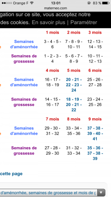 IMG_7408.PNG